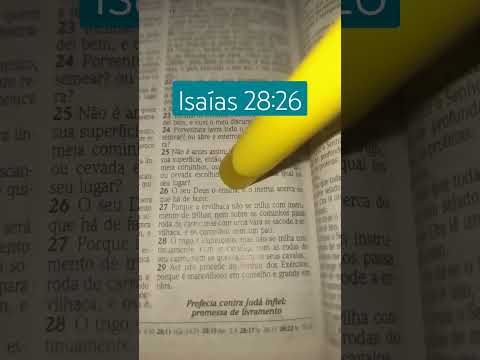 Isaías 28:26 Versículo da Bíblia #deus #religion #fe #amor #gospel #christianreligion #jesus #fé