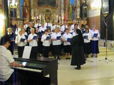 Crkveni mješoviti pjevački zbor „Sveta Cecilija"  Vukovar -- „O mučenici hrvatski"