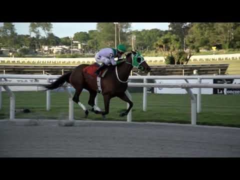 221217 c06 ELECTRIZADA