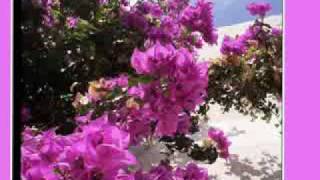 E' la Primavera-Marina Rei