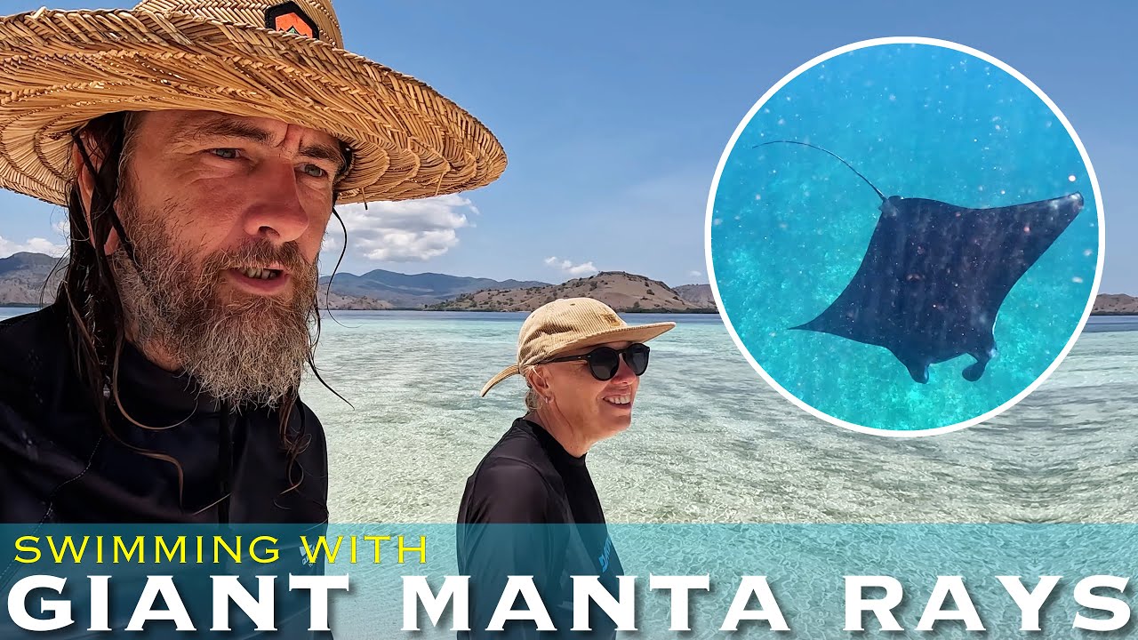 Swimming with Manta Rays at Komodo Island & Hiking Atop of Sebayur Island for Breathtaking Views!