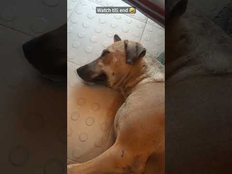 Share with Mukund 🤣 #trending #justforfun #funnyvideo #youtubeshorts #viral #video #crazy #joke