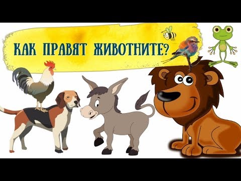 КАК ПРАВЯТ ЖИВОТНИТЕ | ЗА НАЙ-МАЛКИТЕ