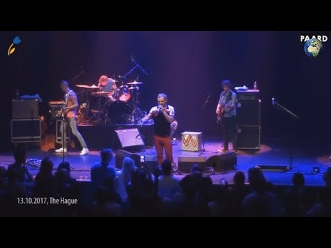 Олег Скрипка с "Вопли Видоплясова" оскорбил Россию на концерте в Гааге