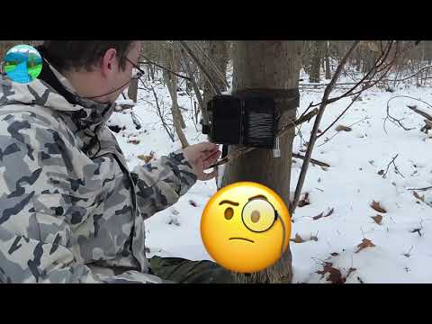 KJK LK226 Vorstellung und Referenzaufnahmen. Mit Gewinnspiel / Giveaway