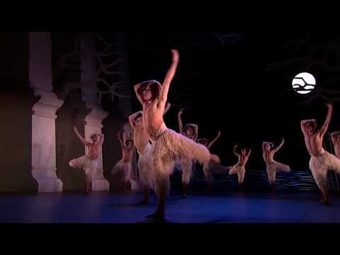 Matthew Bourne΄s Swan Lake, 2012 - swan dance - short