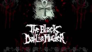 The Black Dahlia Murder--Hymn For The Wretched (Lyrics Displayed)