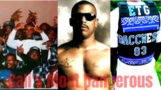 Who are the Eight Tray Gangster Crips |One of LAs most well known crip gangs|83GC vs Rollin60s