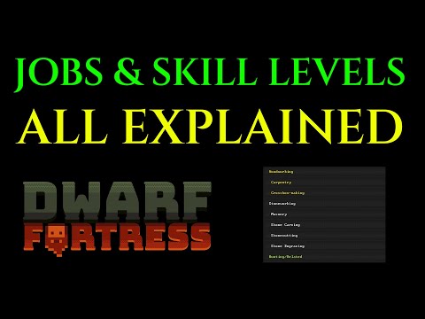 JOBS & SKILL LEVELS - Guide Tutorial DWARF FORTRESS Tips