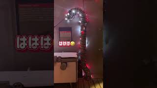 軍艦ウイスコンシン、クリスマスライト！ #christmas #usswisconsin #usalife #アメリカ生活 #アメリカ在住 #クリスマスイルミネーション