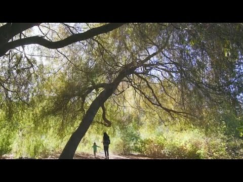 Presidio of San Francisco touts unique history