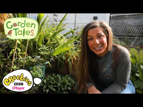 ガーデンテイルズの新しい仲間たちに会いに行こう!| シービービーズ (Meet our new friends from Garden Tales! | CBeebies)