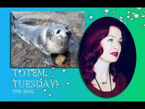TOTEM TUESDAY -  THE SEAL