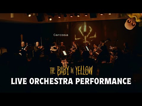 Team Terrible and Virginia Leo