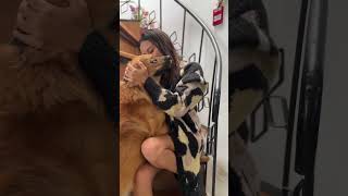 Download lagu Darle besos a tu perro te puede salir caro ☝️🐶 #AmyGutierrez #Humor mp3 Download lagu Darle besos a tu perro te puede salir caro ☝️🐶 #AmyGutierrez #Humor mp3