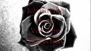 Justin Currie  where did i go....