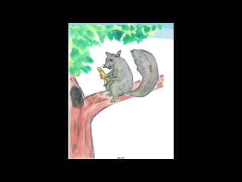 歌謠篇   東魯凱語 09 boboto 松鼠《伴唱篇》