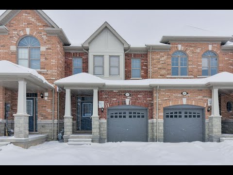 14 Ivor Crescent Brampton