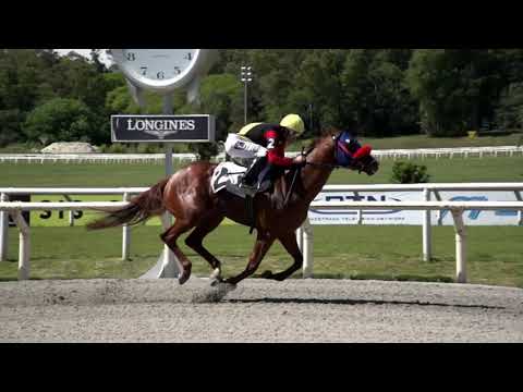 211114 c01 MY PIONEER (BRZ)