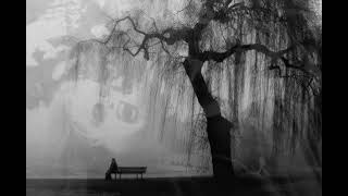 Antestor - Depressed (legendado)