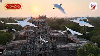 Sannidhanam Anthem