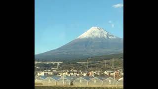 久々の恋愛相談と帰阪と東京でのお話