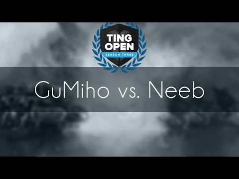 GuMiho vs. Neeb - TvP - TING Season3 Ro8