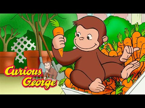 The Amazing Rooftop Garden! 🐵 Curious George 🐵 Kids Cartoon 🐵 Kids Movies