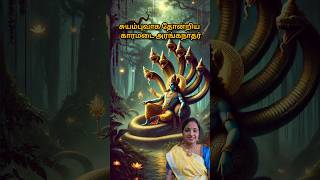 Download lagu நீங்கள் இன்னும் அறியாத காரமடை அரங்கநாதரின் SHOCKING வரலாறு? |karamadai Ranganathar #perumal #shorts mp3