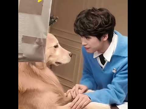 So Cute😽💞🐟Crd vd #revengedlove #ziyu #sweetcorn #yuni