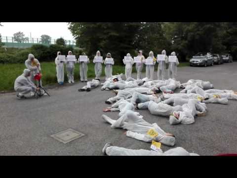Flash Mob Scuola Superiore Zenale e Buttinone di Treviglio (succursale)