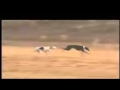 Running From The Devil Video