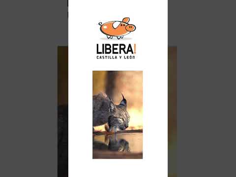 Presentación Asociación Animalista Libera Castilla y León