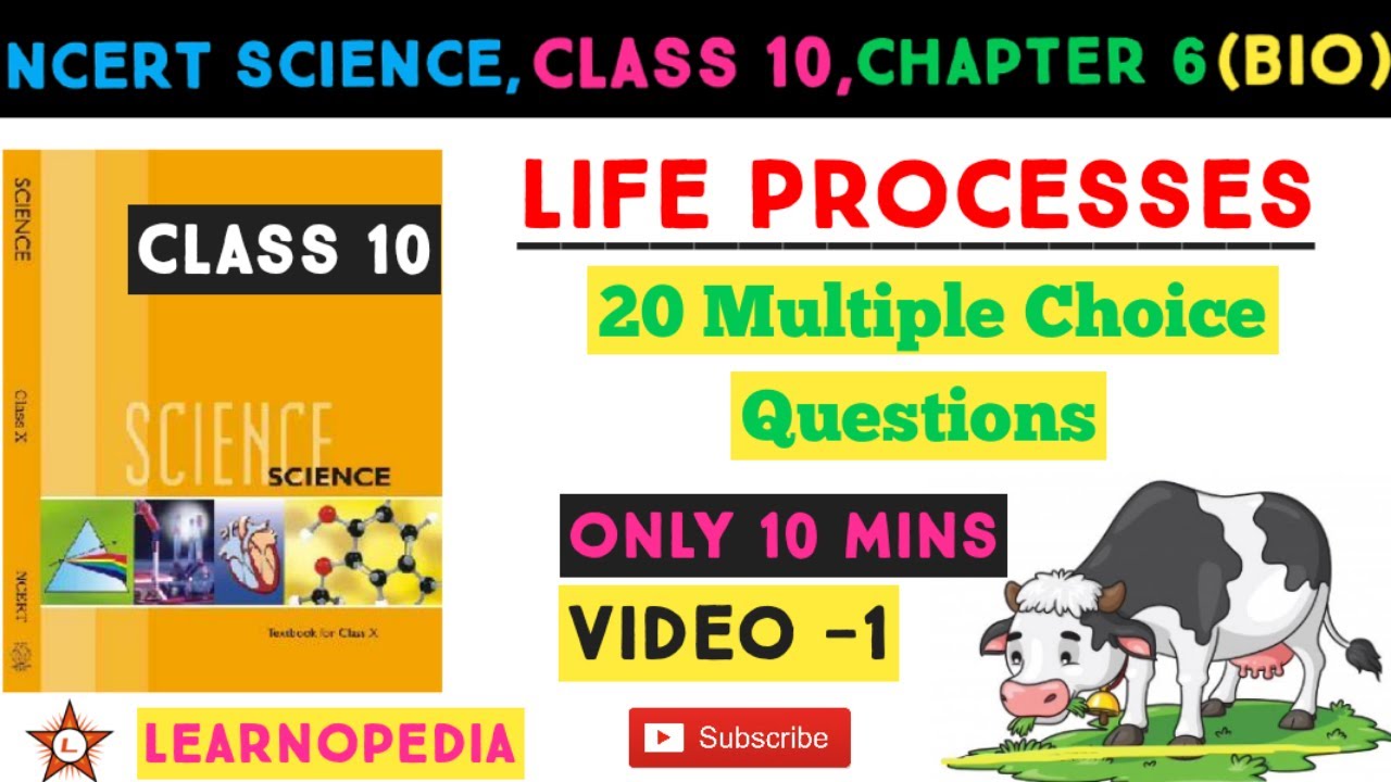 NCERT SCIENCE | CLASS 10 | CHAPTER 6 | LIFE PROCESSES | BIOLOGY | IMPORTANT MCQS |
