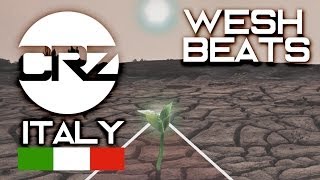 WeshBeats - Acute Symptoms Remix - CRZ Beats Contest