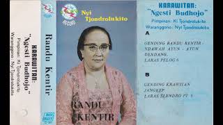 Download lagu Nyi Tjondrolukito & Ngesti Budhojo Group - Randu Kentir Side A mp3