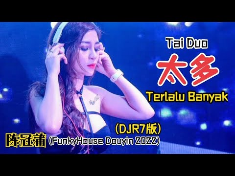 陈冠蒲 - 太多 Tai Duo 《Terlalu Banyak》(DJR7版) | FunkyHouse Douyin 2022 - Lyrics Translated Indonesia