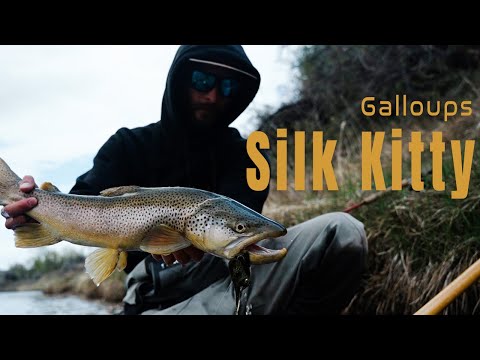 The Runoff Grind | Project In The Wild No.50 (Montana Streamer fishing)