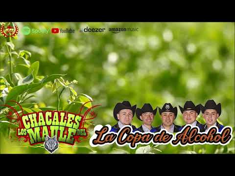 Los Chacales del Maule - La Copa de Alcohol (Audio)