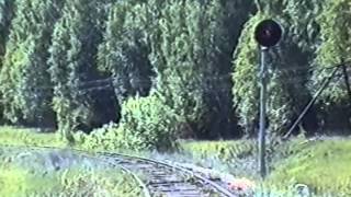 preview picture of video 'Поход по семафорной дороге (Скакулино-Кувшиново, 06.2002)'