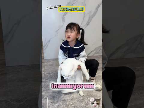 Hayvanları Sevmek! 🐈🐕