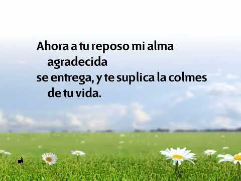 536 En sombras de la tarde