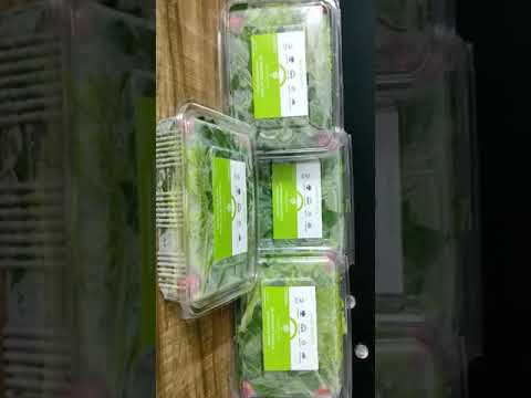 Heimische transperent salad crunch box