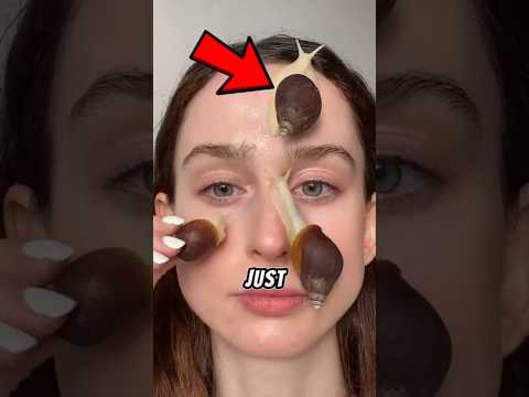 Snail Under the Microscope! 😱