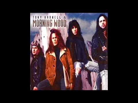 TONY HARNELL & MORNING WOOD - LOVE HURTS