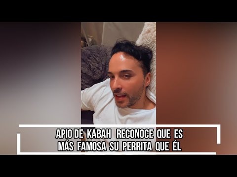 APIO DE KABAH  RECONOCE QUE ES MÁS FAMOSA SU PERRITA OFELIA QUE ÉL