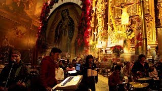 Paloma Blanca - Super Lider (Cover Bronco)