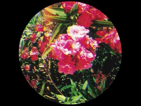 NKLV - CRISIS [RUNNING BACK]