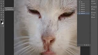 DİJİTAL FOTOĞRAFÇILIK EĞİTİM KİTABI