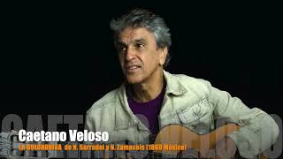 CAETANO VELOSO - LA GOLONDRINA de N. SERRADEL y N. ZAMACOIS (MEXICO 1860)